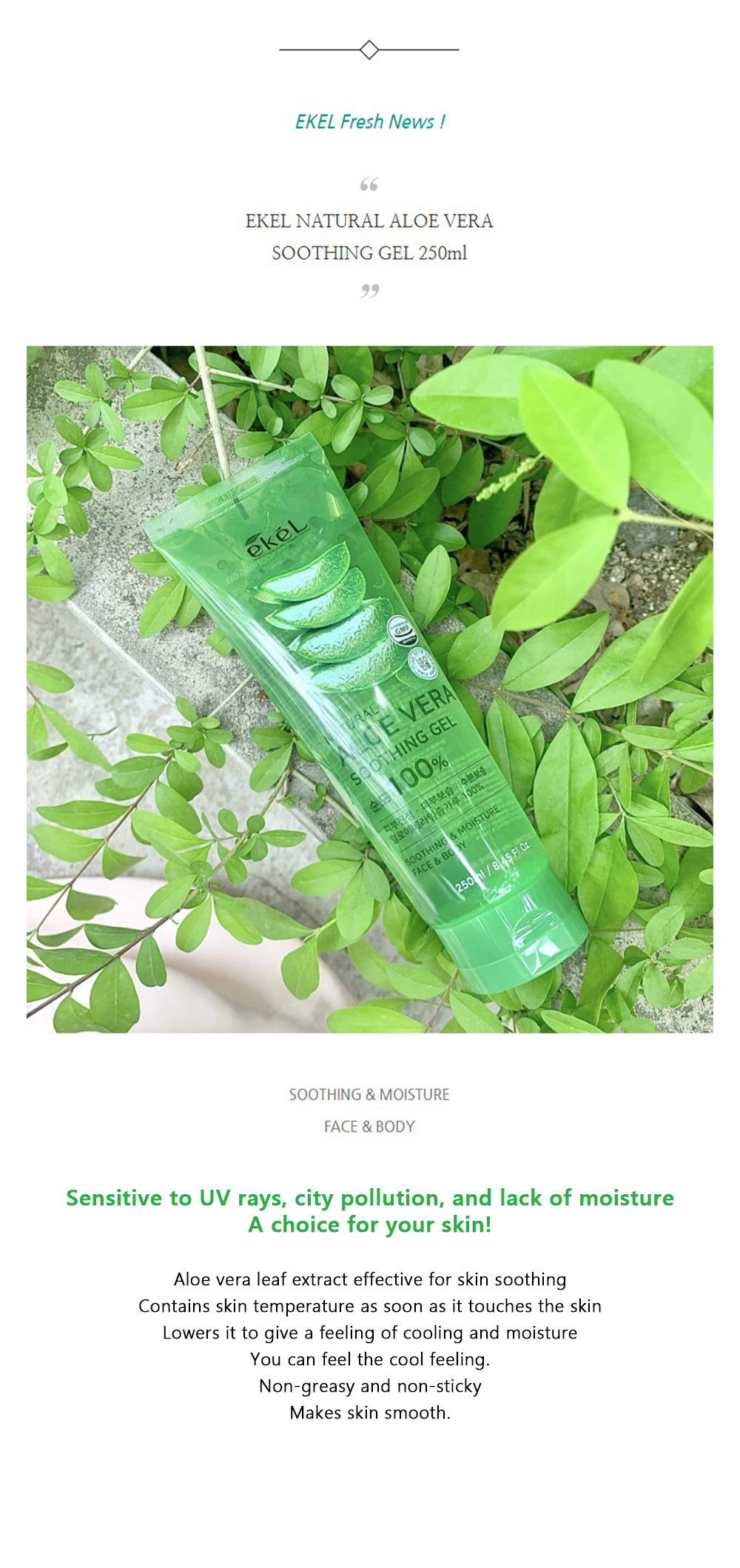 [EKEL] Aloe Vera 100% Soothing & Moisture 300g